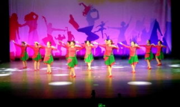 中国舞十级舞蹈视频,逐级绽放的艺术之旅