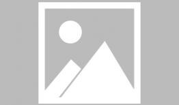 上海街,穿越百年繁华，探寻城市记忆的足迹